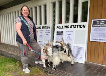 Goat woman and ox man: How do these two work together?