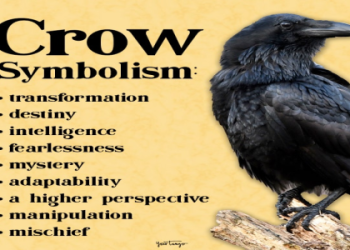 Dream about fishing: Does it mean good luck or bad luck?