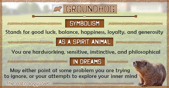 Groundhog Spiritual Meaning: Understand what this animal means for your life!