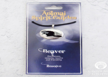 Beaver Animal Totem: What Does it Mean for You? Learn About Hard Work!