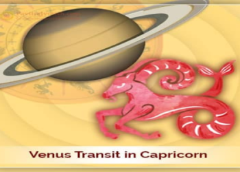 Venus in 6th House Transit Job: What Happens When Venus Transits Your Work House?