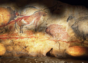 What Does the Tooth Symbol Mean? Uncover Its Hidden Meanings Now