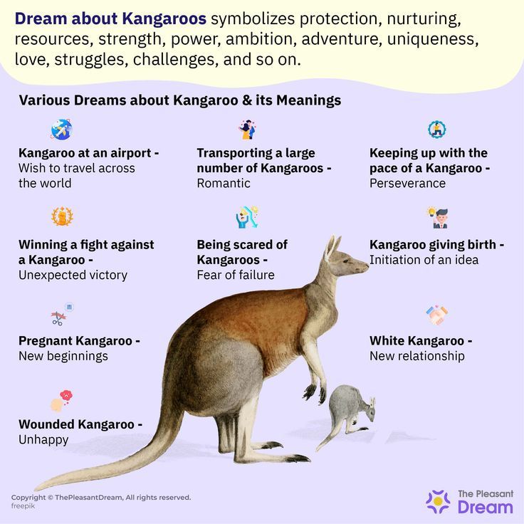 Kangaroo Spiritual Meaning: Discover What It Means in Your Dreams and Life