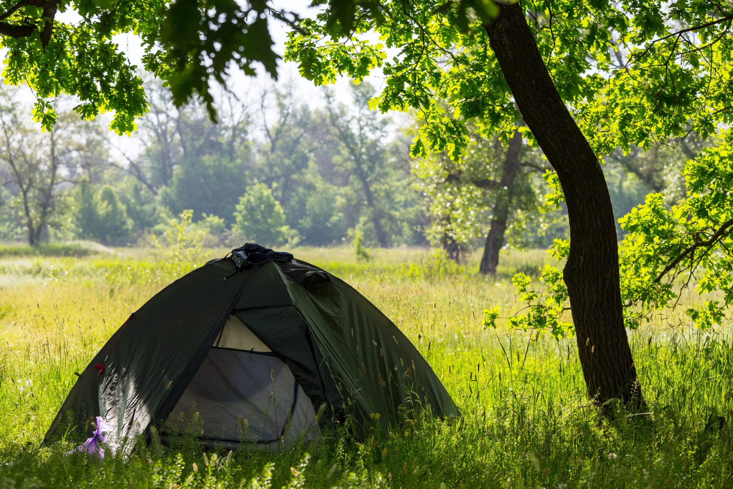 Dream of Tent Interpretation: Discover the Hidden Messages Behind Your Tent Dreams!