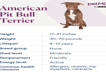 Bull Dying: What Does It Represent? Find Out Now!
