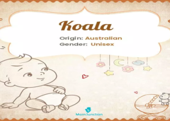 Koala Spirit Animal Explained: Learn How It Can Help You Find Calm and Happiness!