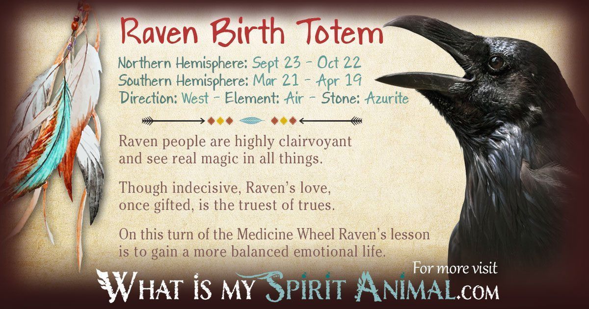 Spirit Animal Crow Meaning: Unpacking the Secrets and Messages of This Powerful Totem