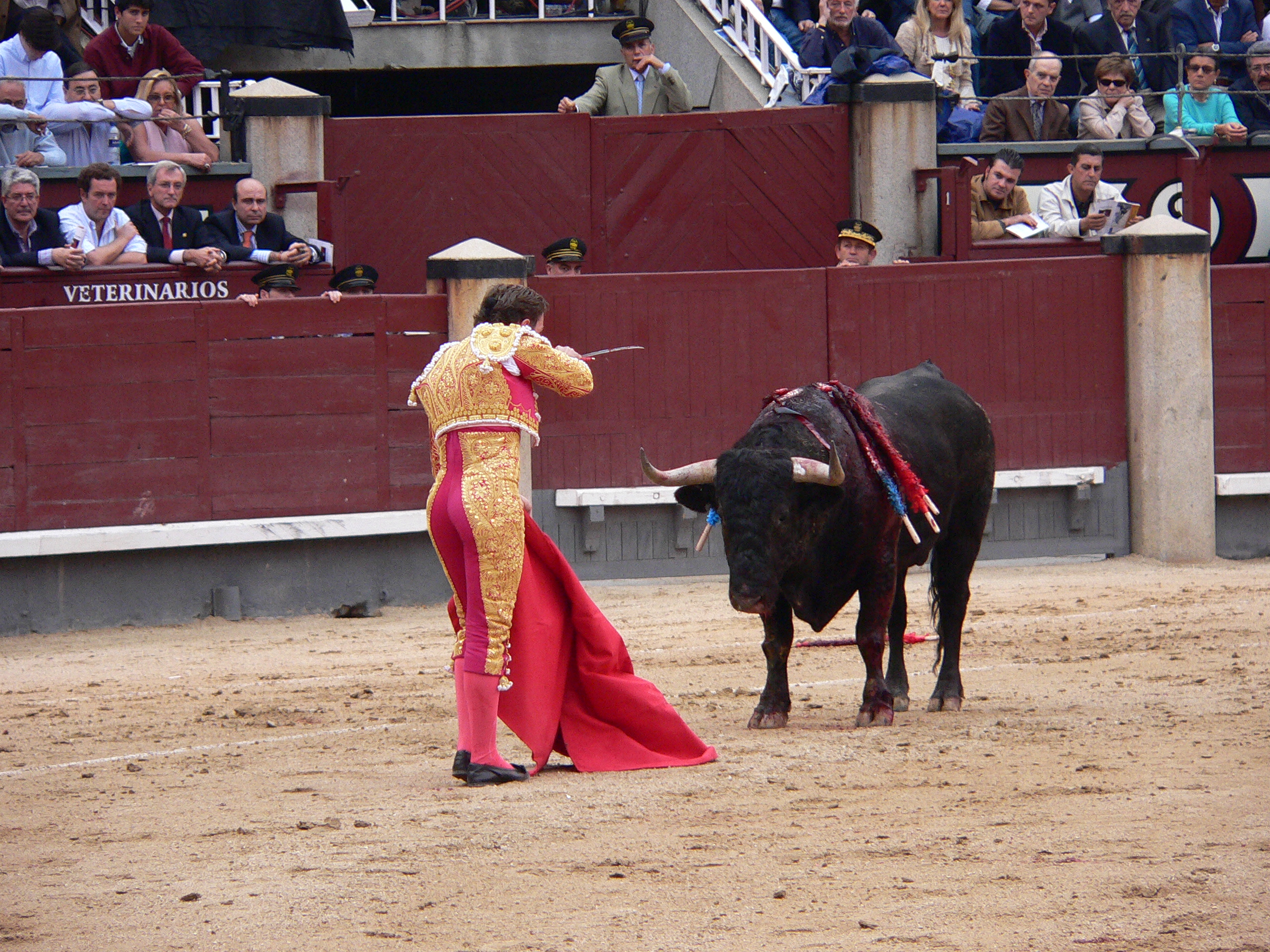 Bull Dying: What Does It Represent? Find Out Now!
