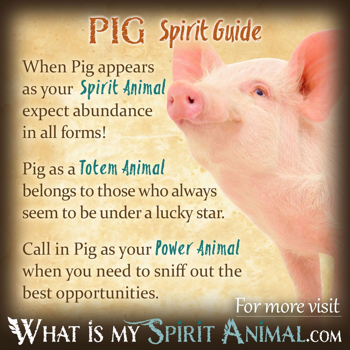 Pigs Appearing a Lot? Its a Sign! Learn the Symbolism of Pigs in Your Life.