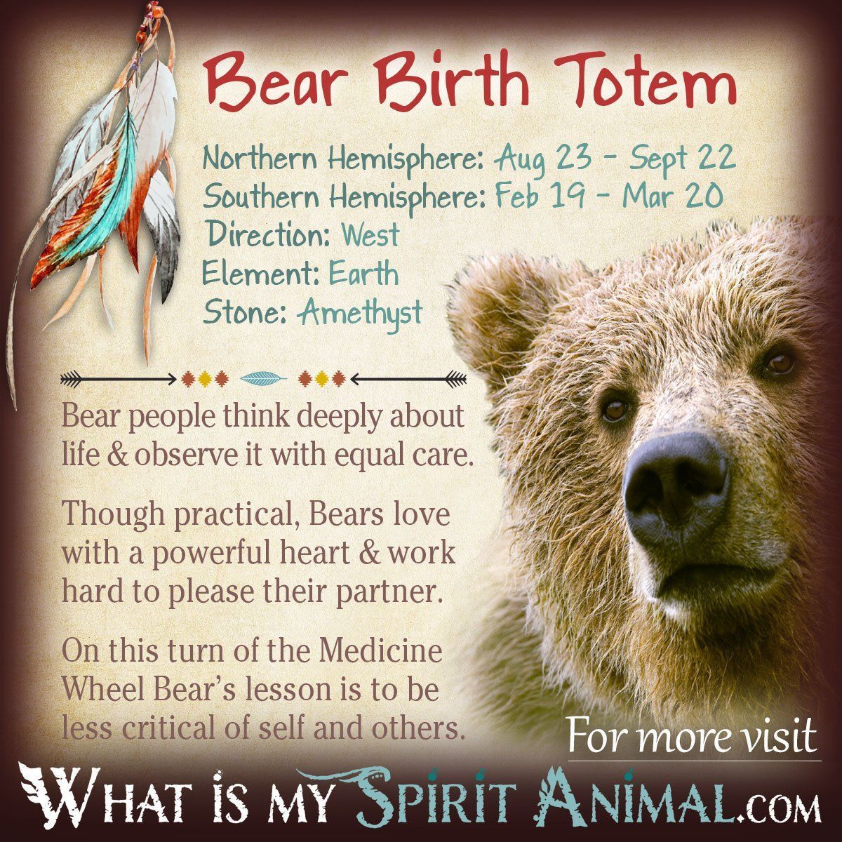 Bear Animal Totem What Does It Mean for You and Your Life