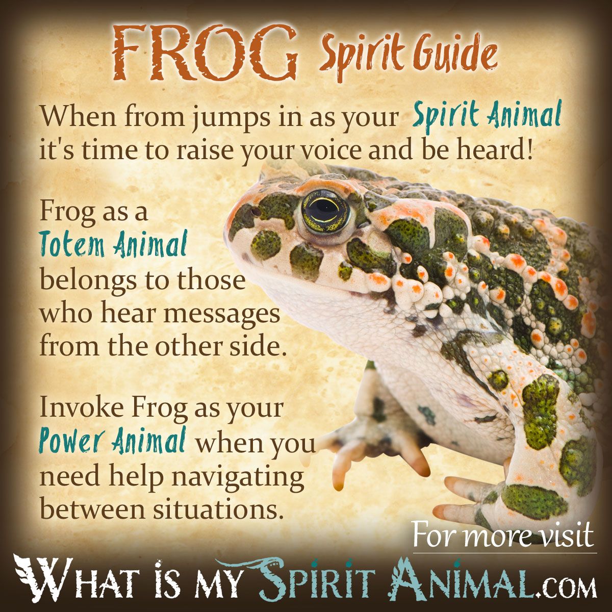 Frog Spirit Meaning: Discover the power and symbolism of it.