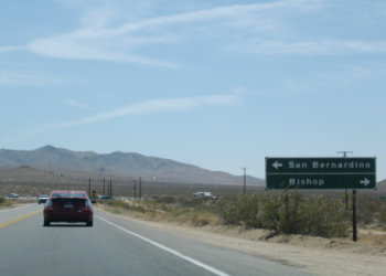 Whats the 395 meaning? Check this simple guide to figure it out!