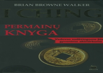 What is Hexagram 30 in I Ching?  Discover the Meaning of the Clinging Fire!