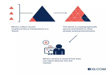 What Does 204 Mean In Server Talk? Understand It in 5 Minutes