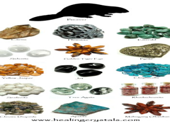 Beaver Spirit Animal Totem (Learn the Power of Beaver)