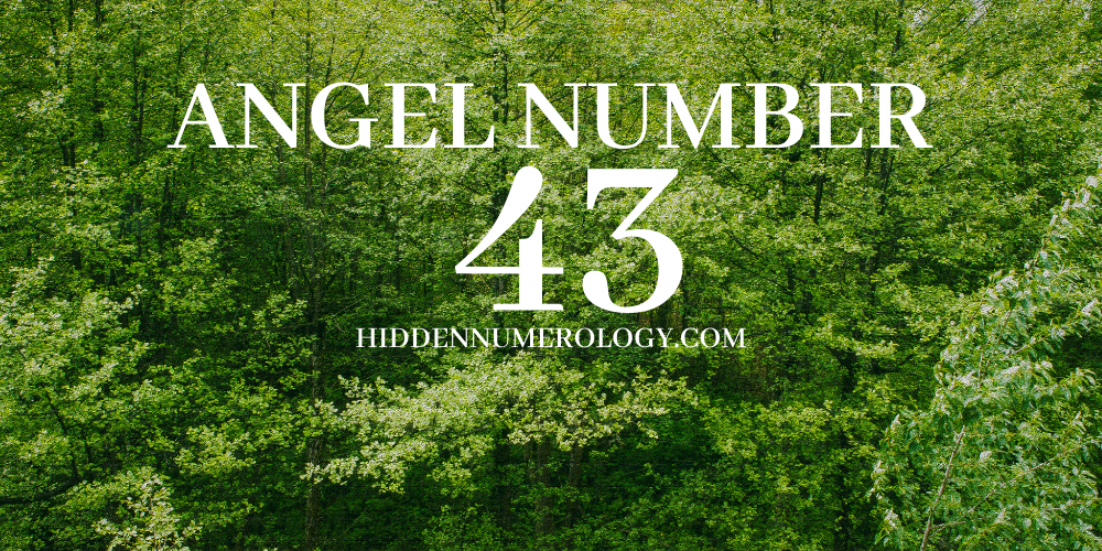 Seeing 43 Angel Number Everywhere? Discover the Hidden Meaning Right Now.
