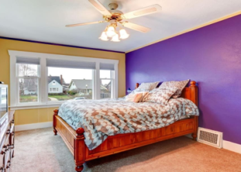 What happens if u put someone in a purple room? Find out the truth about color psychology!