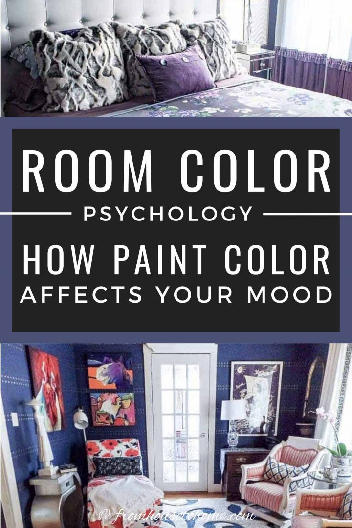What happens if u put someone in a purple room? Find out the truth about color psychology!