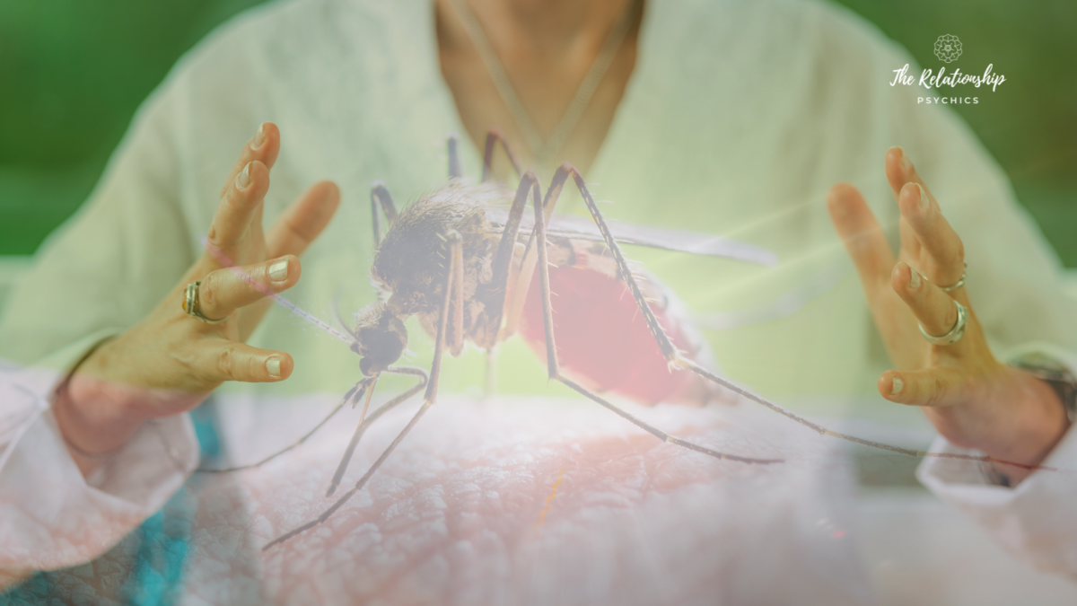 Mosquito Spiritual Meaning: Are They Messengers or Just a Nuisance?