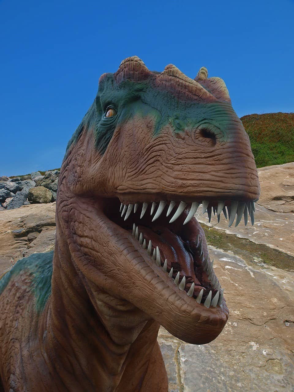 What is the dream interpretation of dinosaurs? Get the answers you need here!
