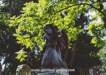 Is 655 Angel Number Lucky? Discover the Secrets Behind This Powerful Number.