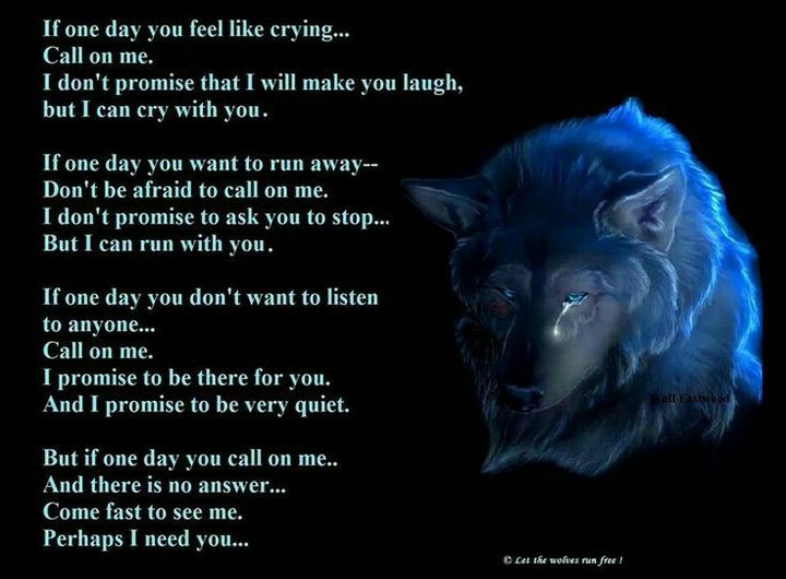 Find Your Spirit Animal Wolf How to Work With It Right Now