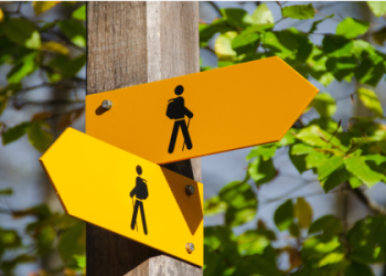 Seeing 1131 Angel Number? Here Is What You Need to Know