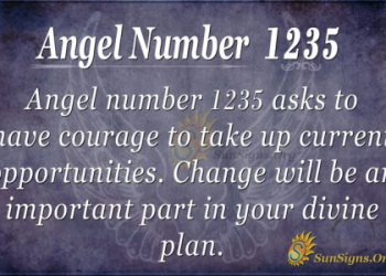 1231 Angel Number Unlocking the Secrets of This Powerful Sign