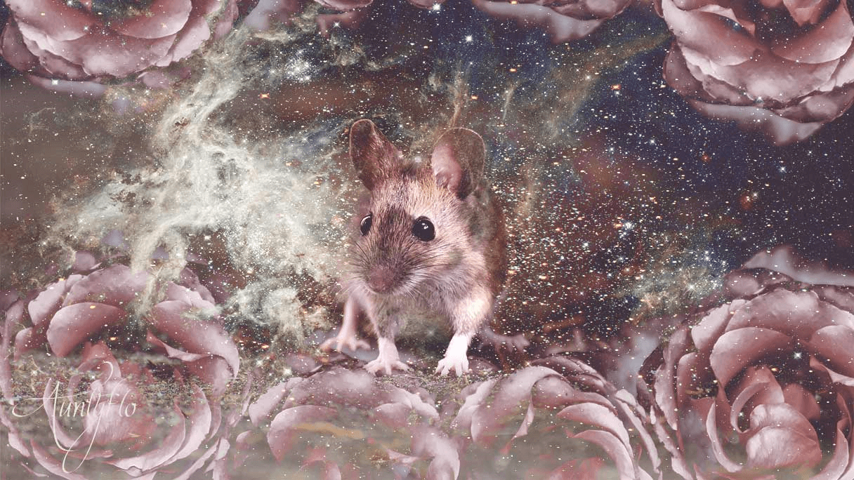 Why Is the Symbolic Meaning of Mouse Important? Find Out What Dreams About Mice Mean!