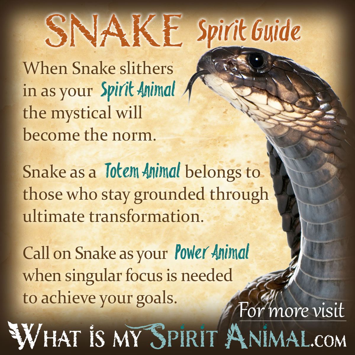 Snake Animal Totem Symbolism: What Does It Mean When You Dream About Snakes?