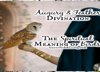 Discover Magpie Spiritual Meaning: Whats the Real Significance in Your Life?
