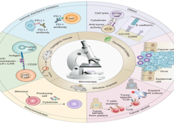 159 153 Meaning Explained: Get the Inside Scoop Right Here!