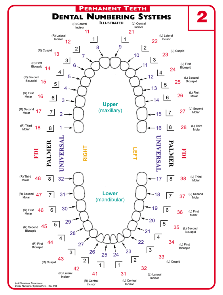 What Does the Tooth Symbol Mean? Uncover Its Hidden Meanings Now