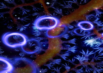 Whats Up With 100 Angel Number? Heres What It Really Means For You!