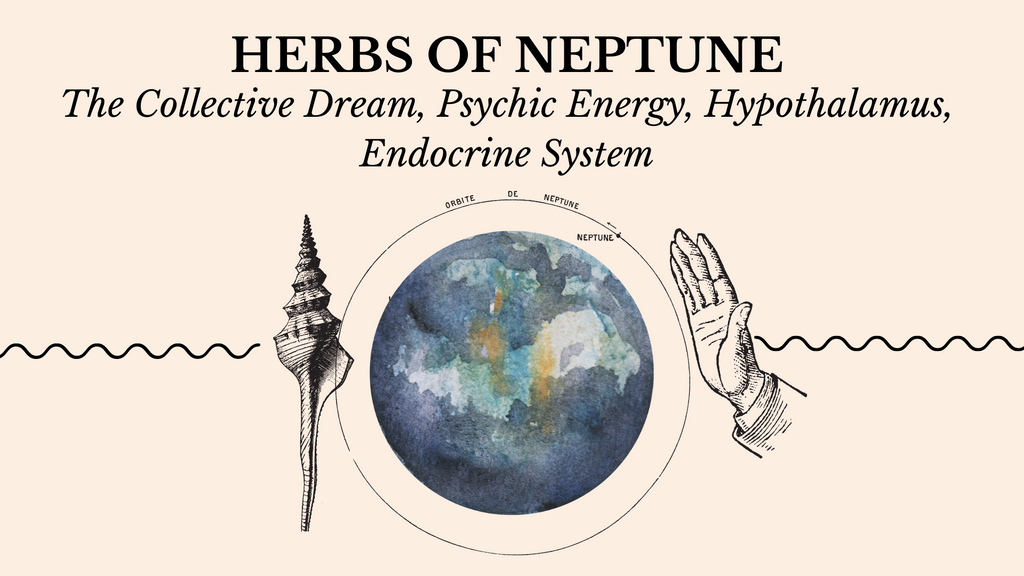 Confused about what method of astrology has Neptune ruled by Jupiter? Get clarity here!