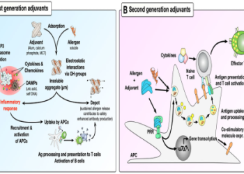 159 153 Meaning: Find Out What It Stands For Here