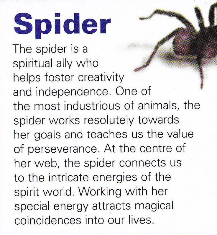 Power Animal Spider Symbolism: Easy Guide to Understanding Your Spirit Animal.