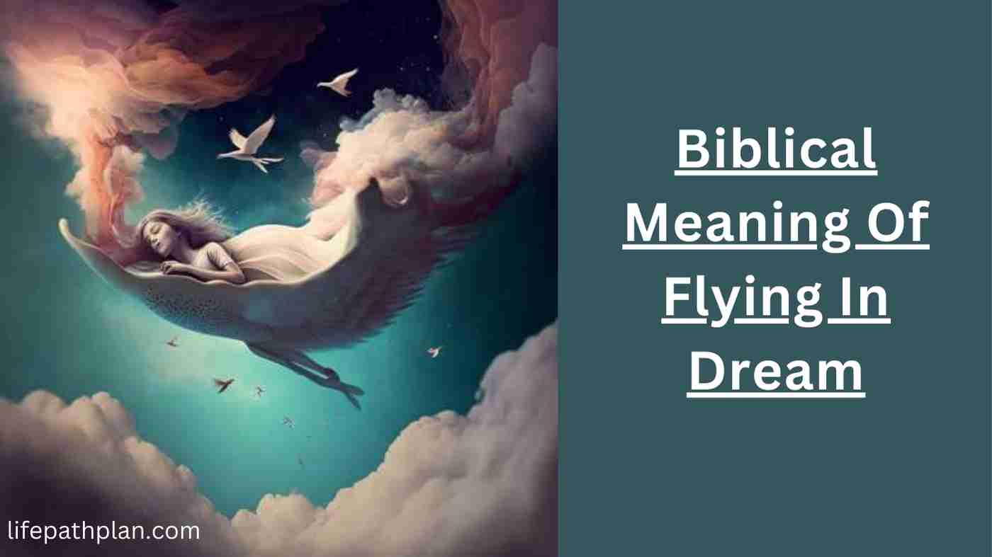 Biblical Dream Flying What Does It Mean? Simple Guide to Flying Dreams!