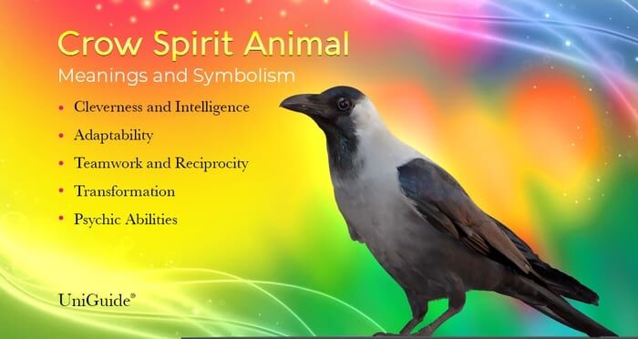 Spirit Animal Crow Meaning: Unpacking the Secrets and Messages of This Powerful Totem