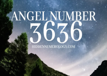 Seeing 4343 Angel Number Everywhere? Heres What Your Angels Are Saying!