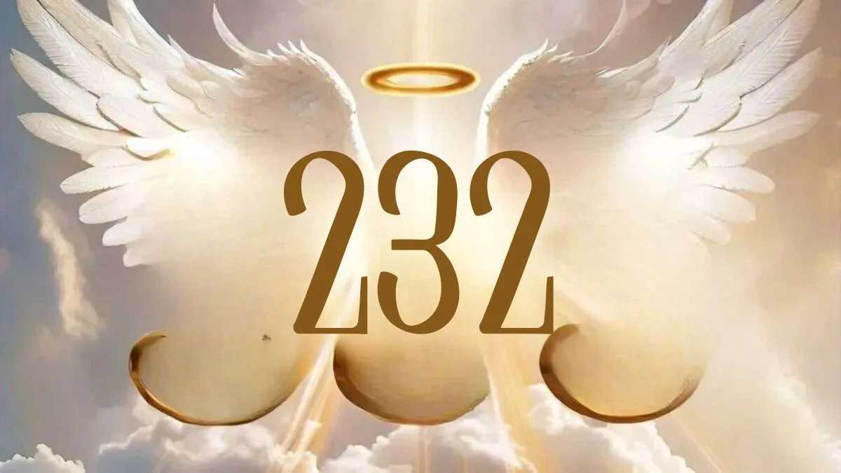 Why Do I Keep Seeing Angel Number 232 These Facts Will Help You