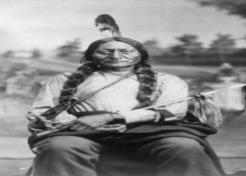 Dream of a Black Bull and White Bull Together? Heres What It Really Means for Your Life