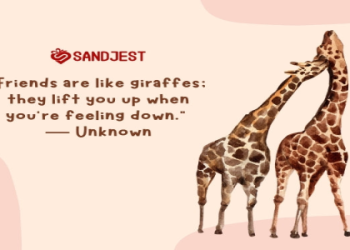 Giraffe Spiritual Meaning: What Does It Mean When You See a Giraffe?