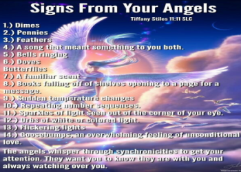 Seeing 1115 Angel Number?  Heres What Your Angels Are Telling You Now!