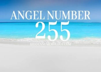 4545 Angel Number Meaning: What Does it Really Mean?