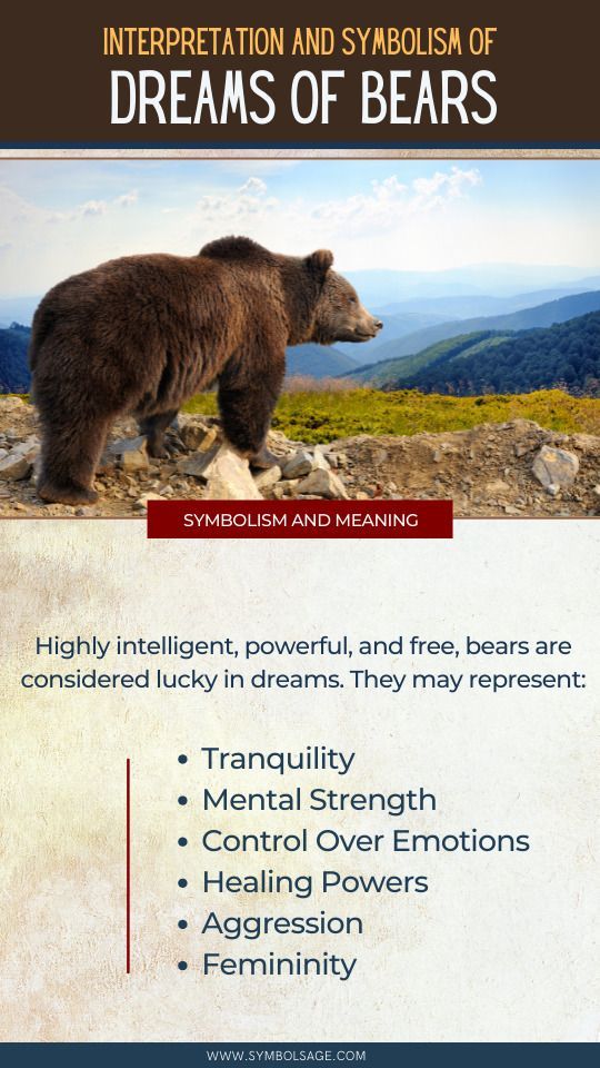 Spiritual Meaning of Bear: What Does It Mean When You Dream About a Bear?