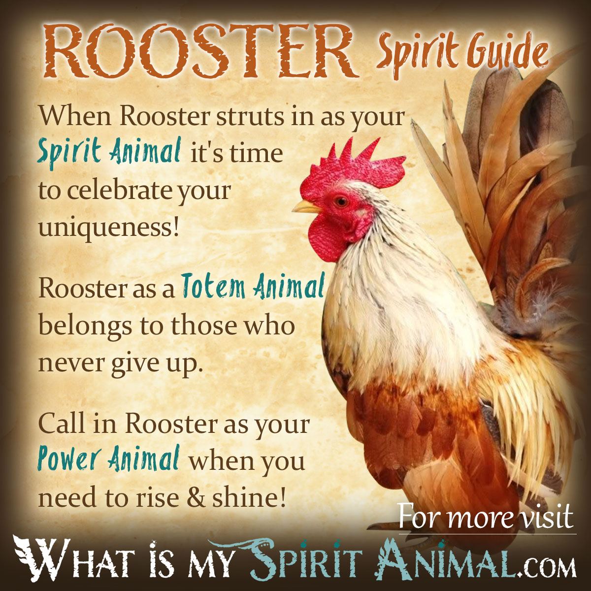 Is the Chikin a Spirit Animal? Learn About Its Spiritual Meaning!