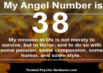 8383 angel number meaning for love and life: Easy tips to follow angels advice!