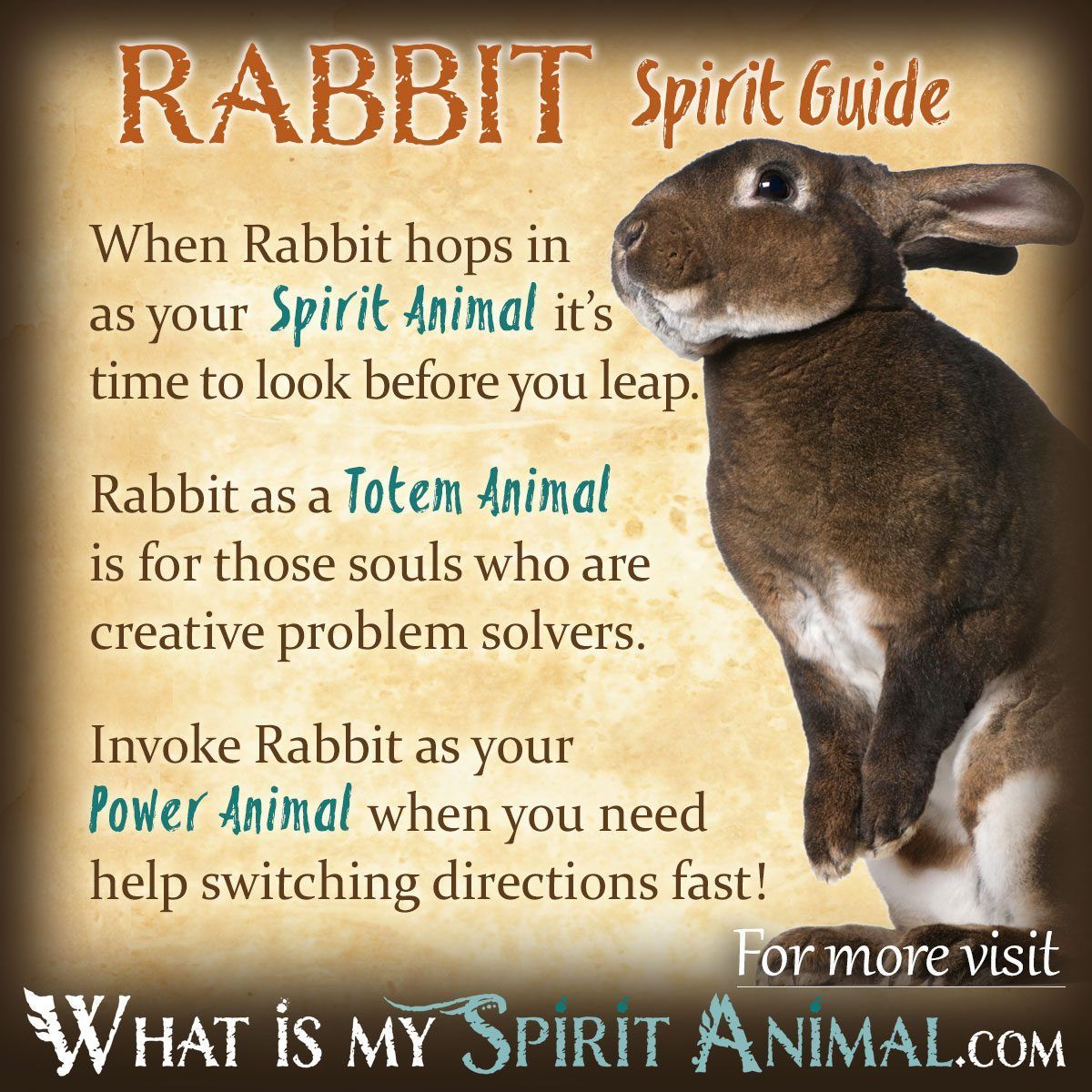 The Spiritual Meaning of Animals Biting Your Rings Explained