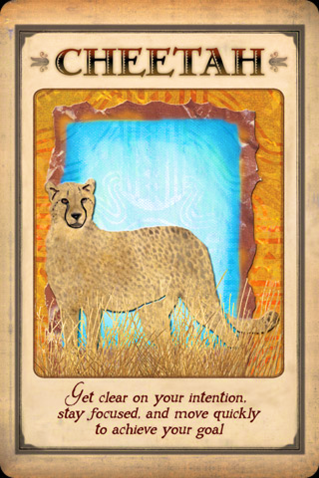 Got Cheetah Spirit Animal? Find Out What It Says About You and Your Path!
